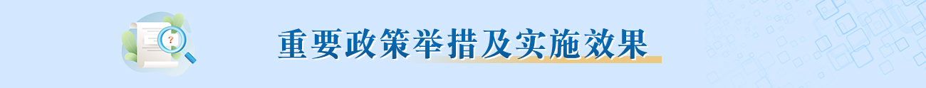 重要政策举措及实施效果