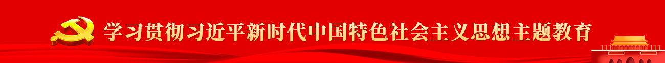 学习贯彻习近平新时代中国特色社会主义思想主题教育