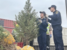 【优化营商环境进行时】中国树苗通过二连浩特口...