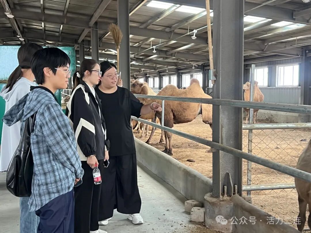 淬砺成长！修好基层实践这门课