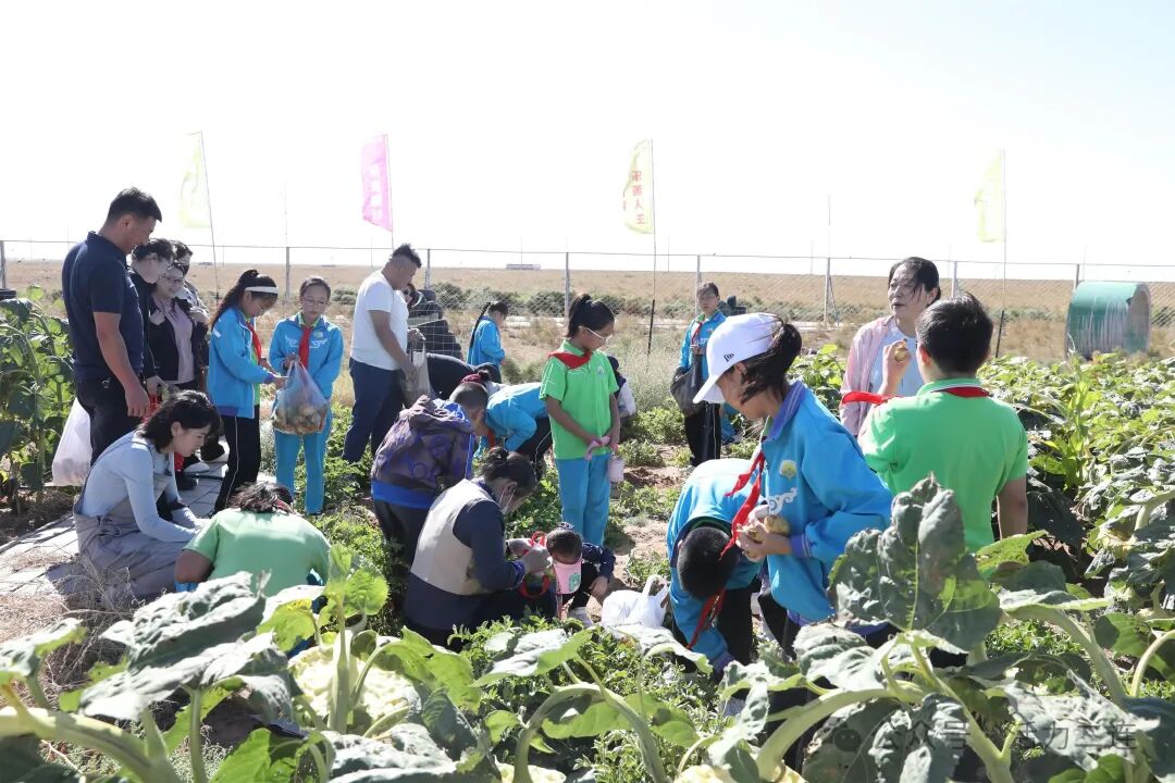 市青少年劳动教育实践基地举办首届“丰收节”暨劳动教育宣传月启动仪式
