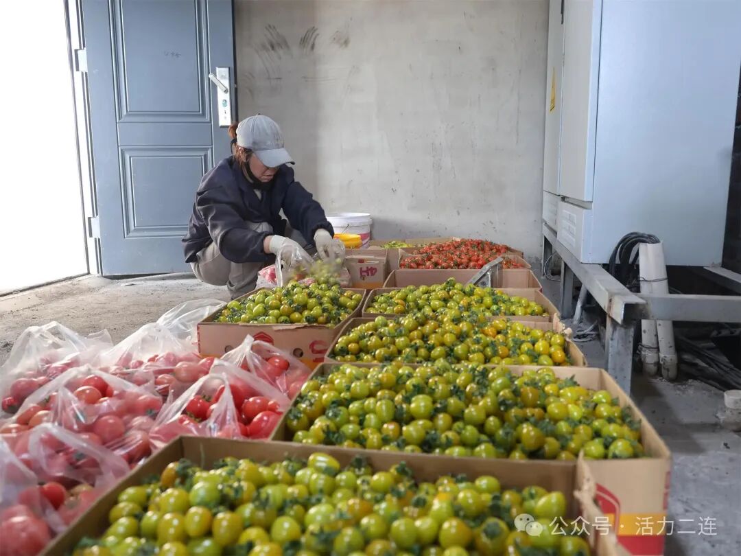 以技兴农 以贸促富！我市走出口岸特色乡村振兴之路