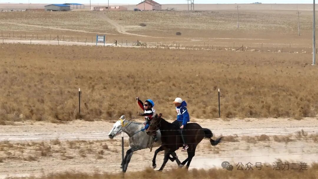 传承马背文化 赋能乡村振兴！格苏木首届马文化活动燃情启幕 | 弘扬蒙古马精神