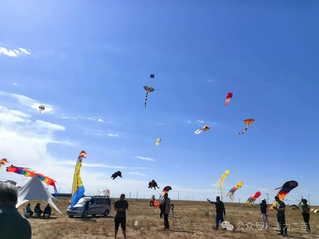 图片11 图片11