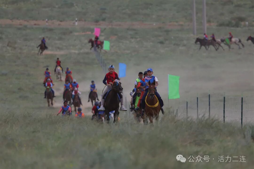 图片5